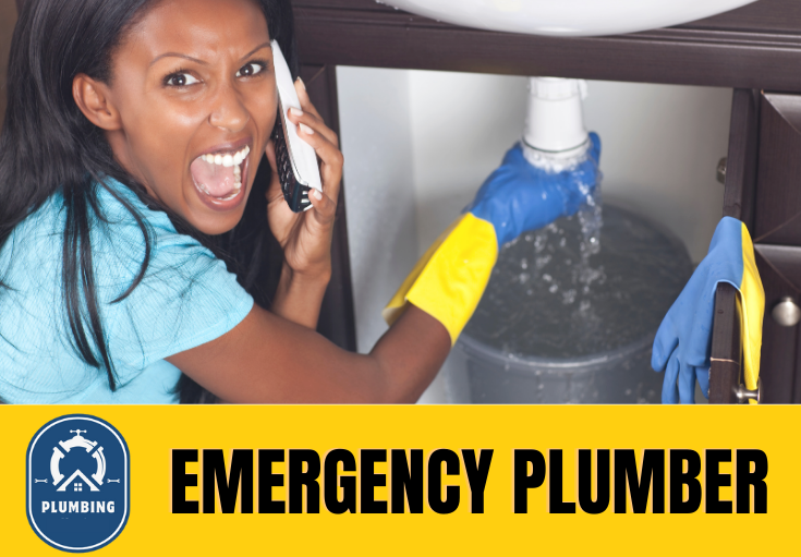 emergency plumber Staplehurst