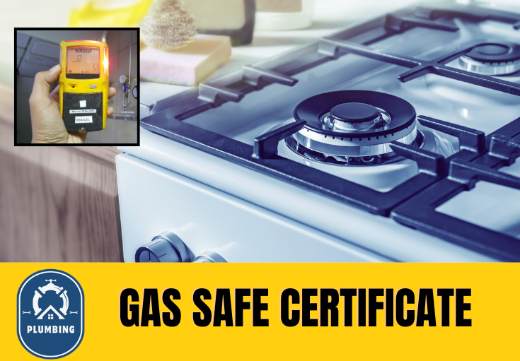 gas safe certificate Staplehurst