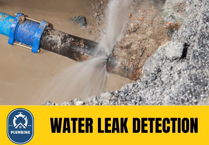 leak detection Staplehurst